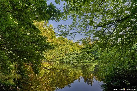 Gemeinde Tarsdorf Bezirk Braunau Huckinger See (Dirschl Johann) Österreich BR